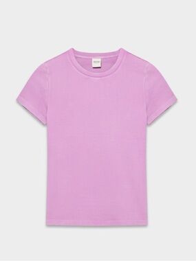 Aritzia Lilac HomeStretch Rib Crew Waist T-Shirt